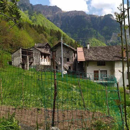 Il Fiume Di Fianco. Appartamento Alta Valsesia Mollia Exterior foto
